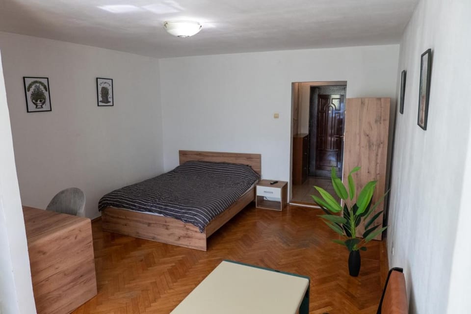 ALMA Guest House Self check in Apartment in Timisoara