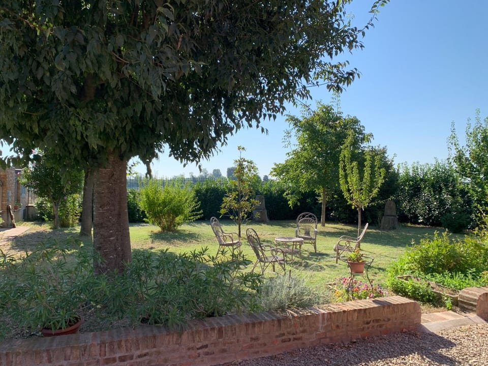 Spring, Garden, Garden view