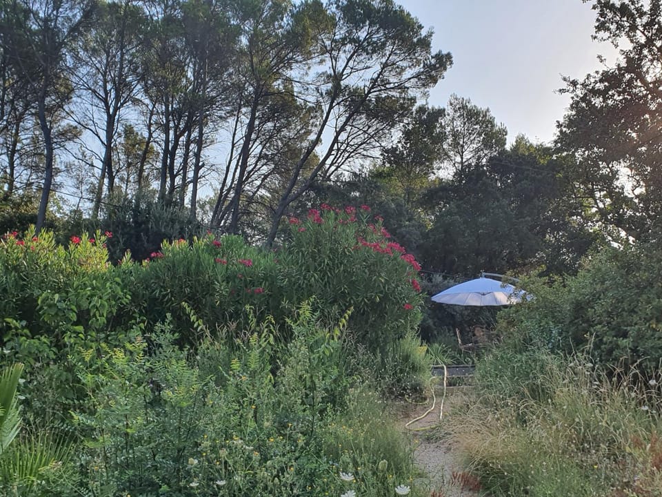 Natural landscape, Garden view