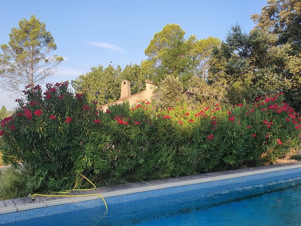 Natural landscape, Garden view, Pool view, Swimming pool