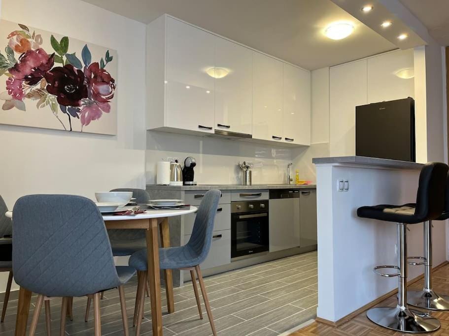 Apartment MIVA Apartment in City of Zagreb