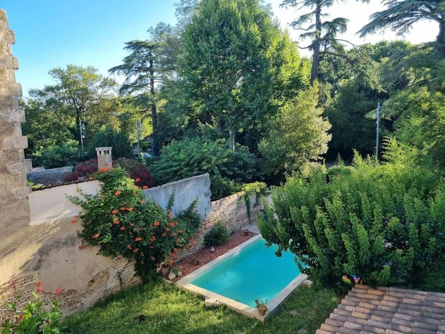 Spring, Garden, Garden, Garden view, Pool view, Swimming pool
