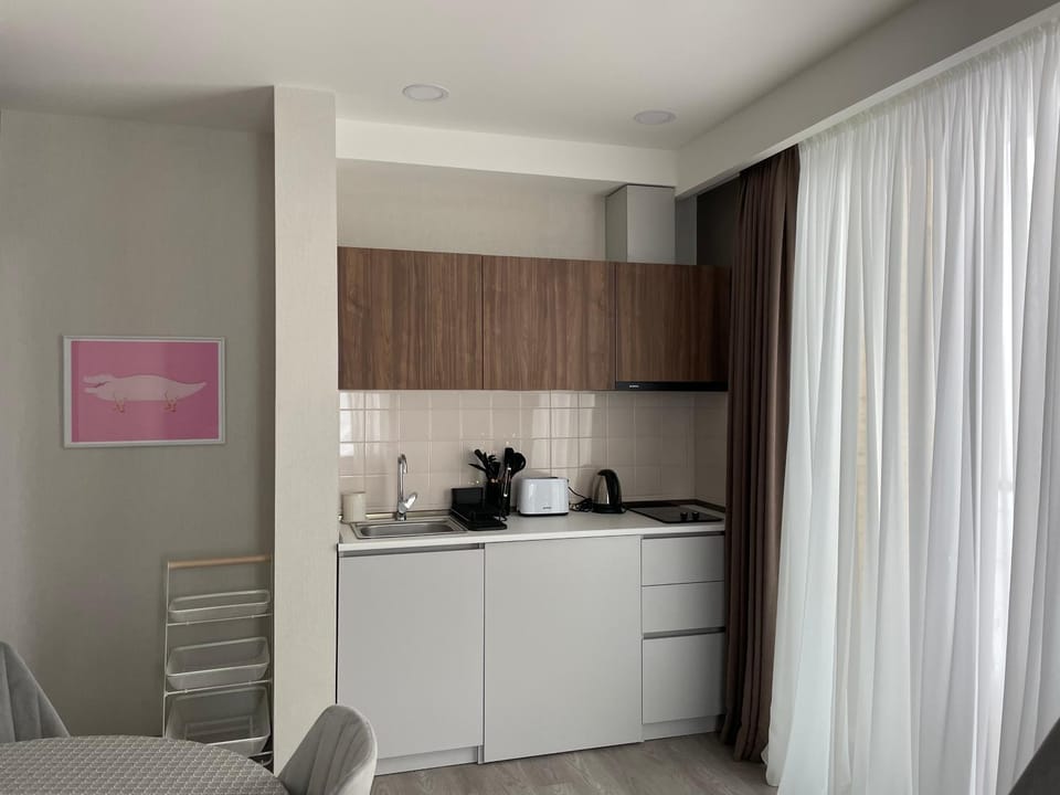 Crystal Loft A Bakuriani Apartment 510 Apartment in Georgia