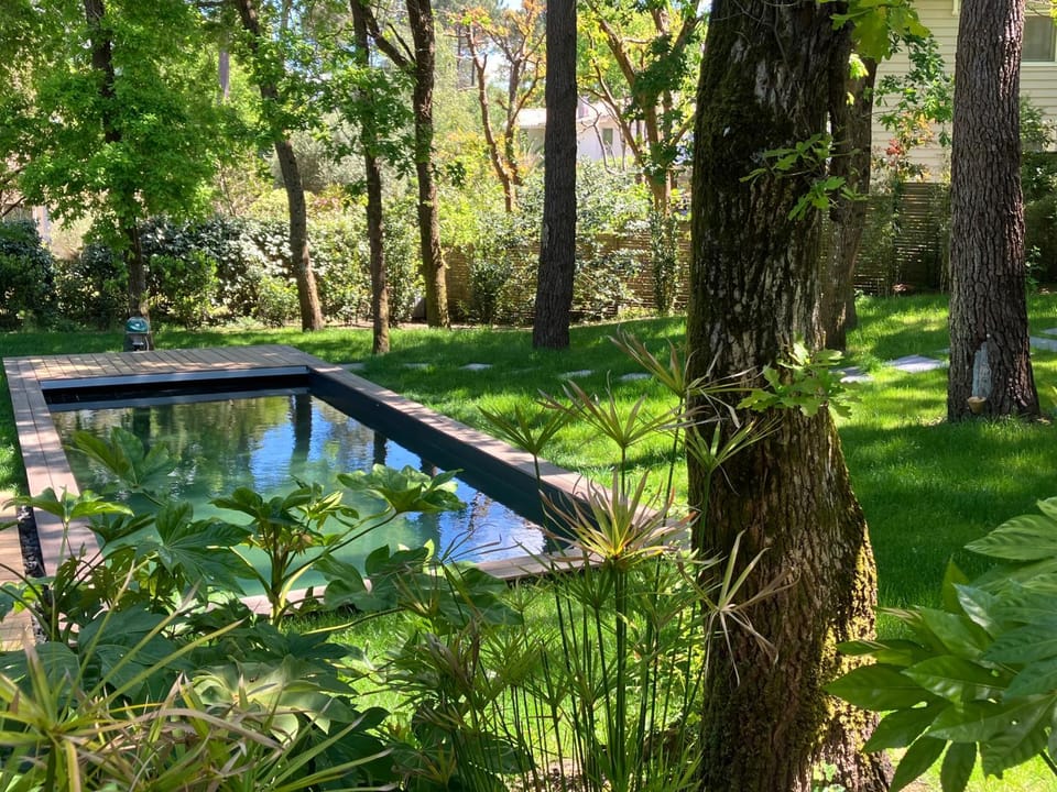 Swimming pool, Open Air Bath