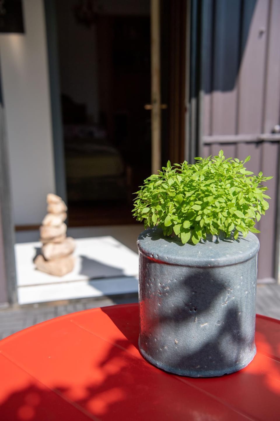 Day, Garden, Garden view