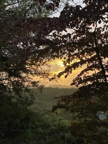 Natural landscape, Sunset