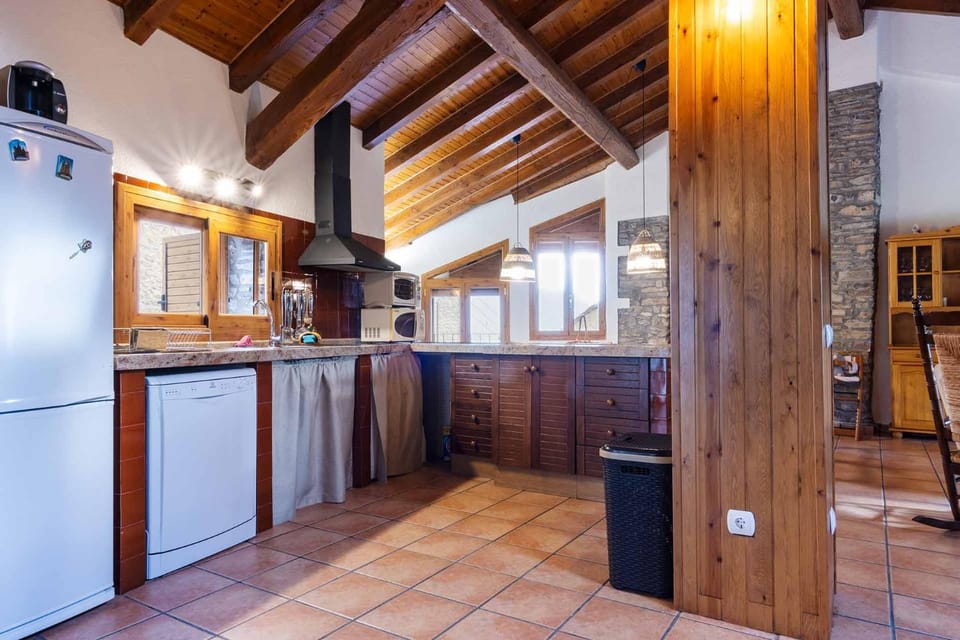 Kitchen or kitchenette, dishwasher, minibar, pet friendly, stove