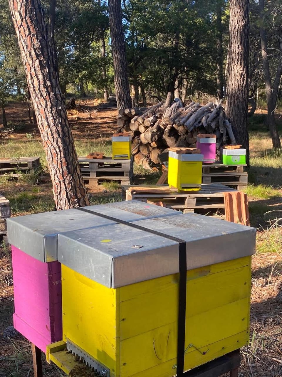 Tiny-House Grand Confort - Salle de bain italienne - Lit King - 10 min A7 House in Provence-Alpes-Côte d'Azur