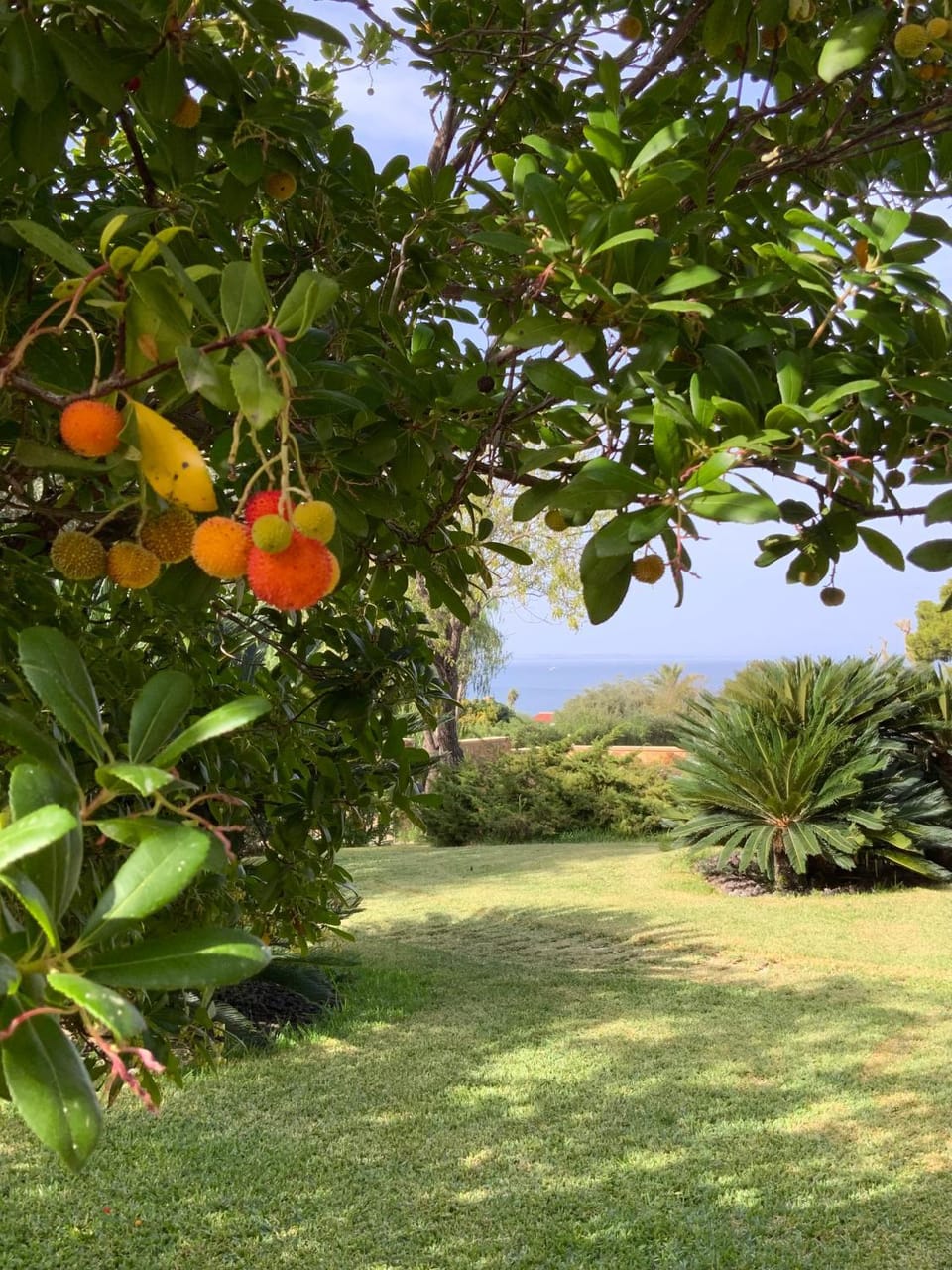 Garden, Garden view