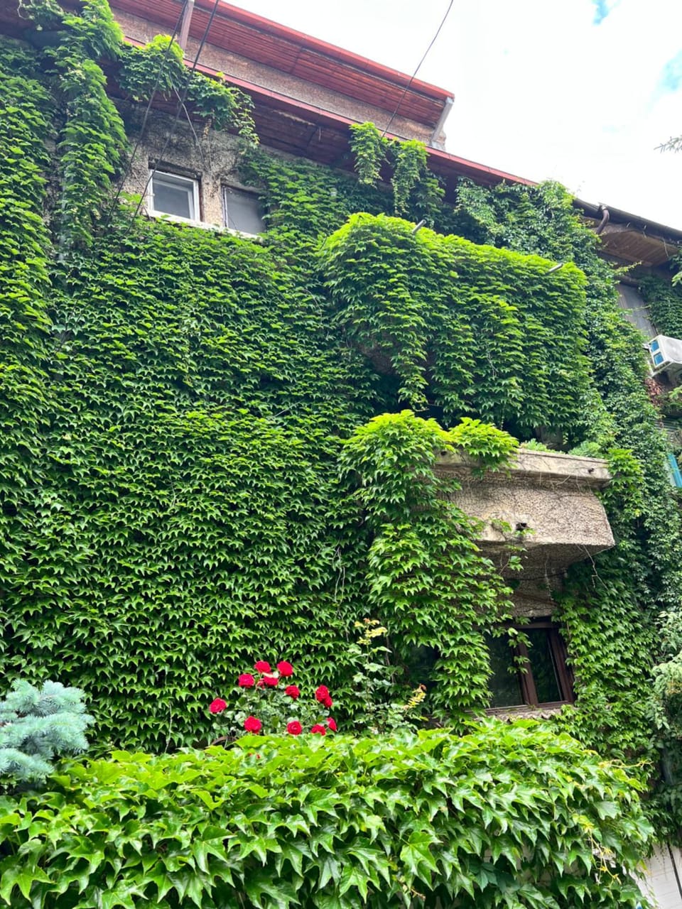 Property building, Garden