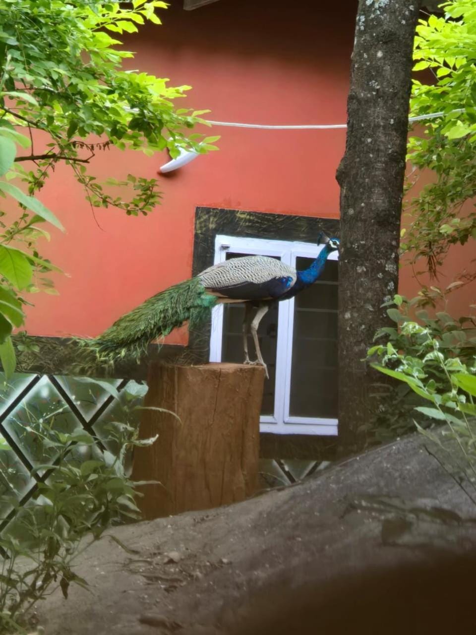 Qatsyir Horizon Farm Stay in Kerala