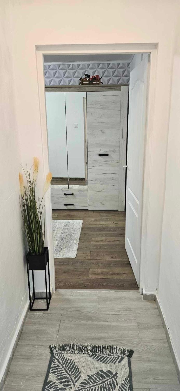 HCL's Apartament Apartment in Timisoara