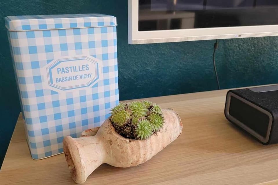 Idéal centre Vichy, bel appartement F5 Apartment in Auvergne-Rhône-Alpes