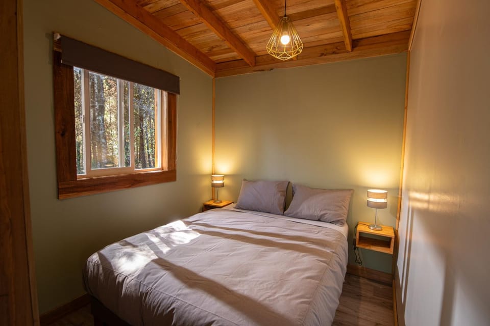 Bed, View (from property/room), Photo of the whole room, Bedroom