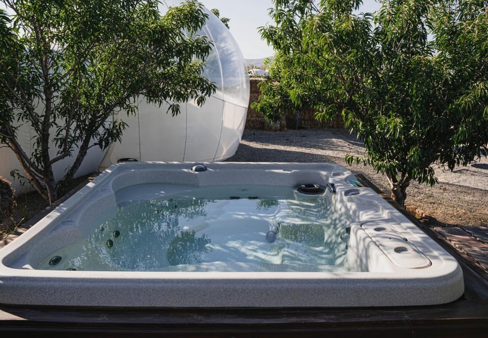 Day, Natural landscape, Garden, Hot Tub, Garden view