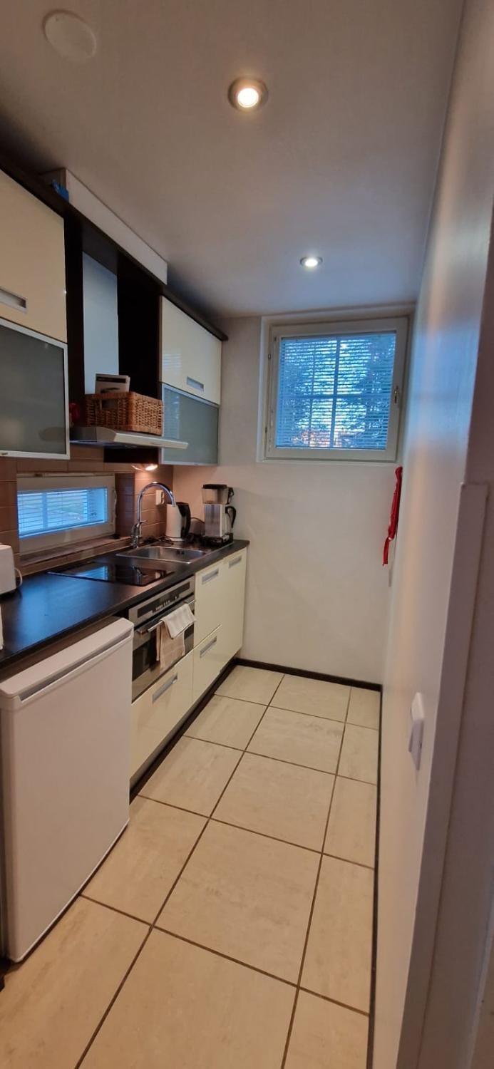 Kitchen or kitchenette, dishwasher, minibar, pet friendly, stove