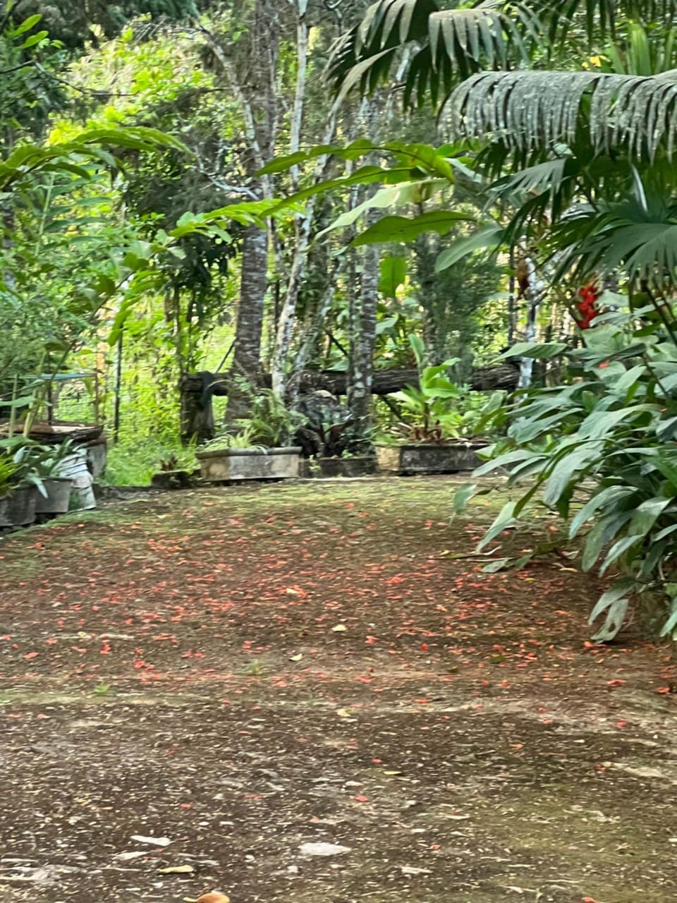 Casa na Serra de Guaramiranga Villa in State of Ceará