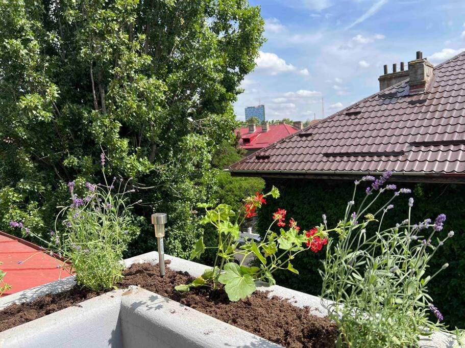 Garden view