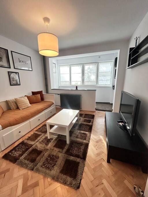 Charming treasure - City centre Apartment in Timisoara