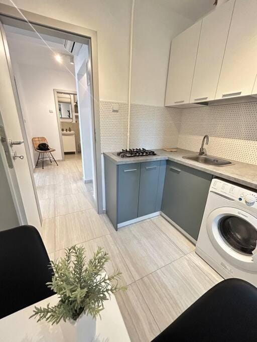 Charming treasure - City centre Apartment in Timisoara