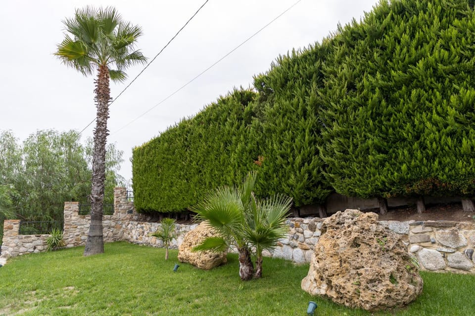Natural landscape, Garden, Garden view