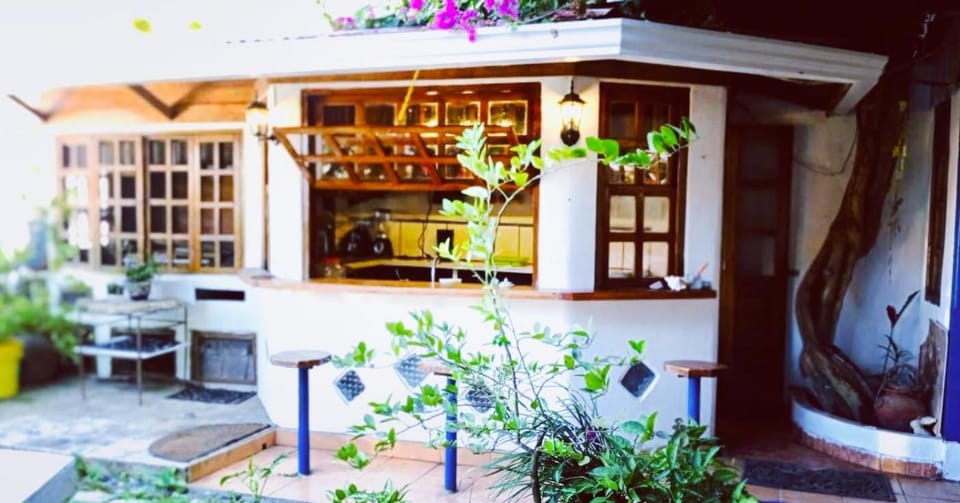 Garden view