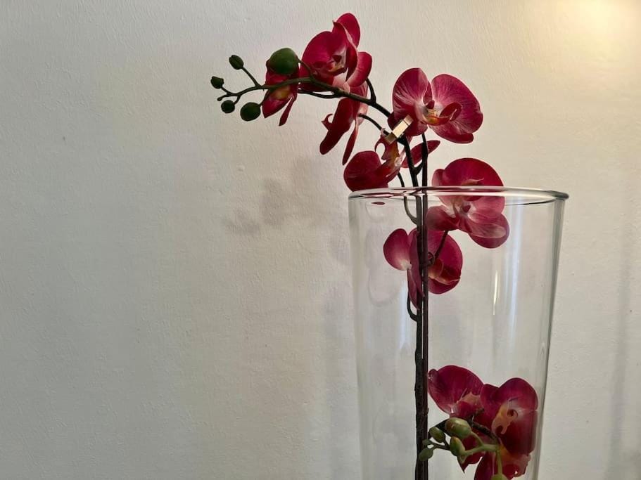 La tana del Diego Apartment in Bologna