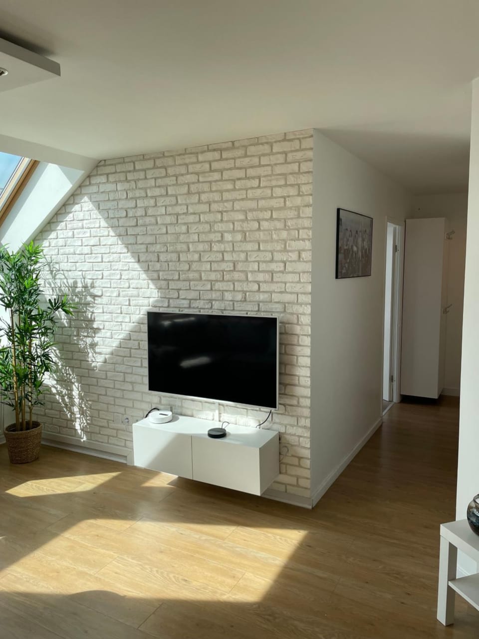 TV and multimedia