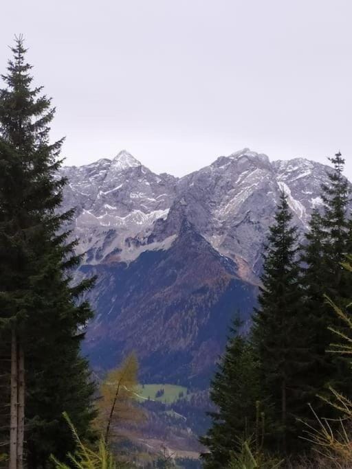 Natural landscape