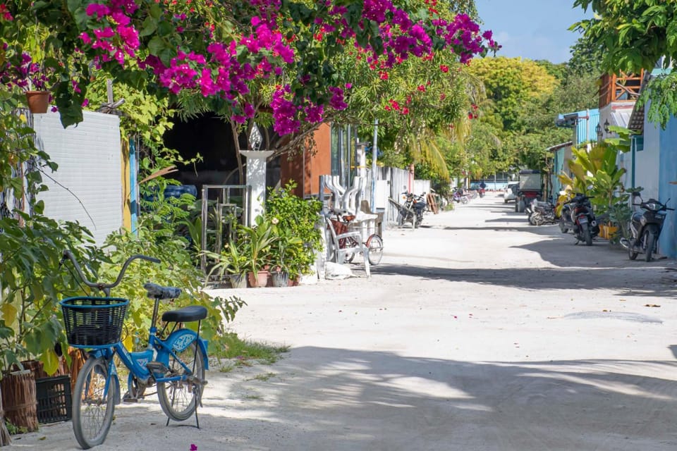 Day, Cycling, Street view