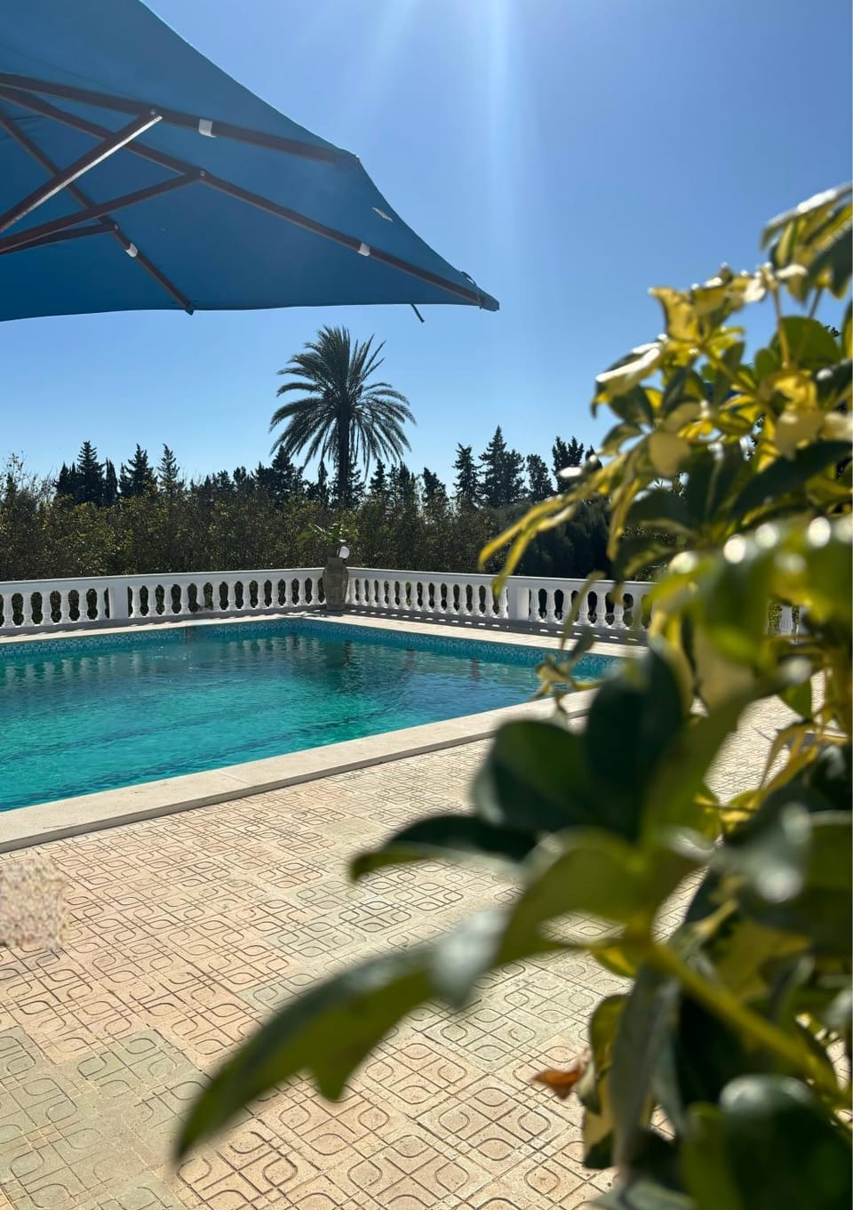 Garden view, Pool view, Swimming pool