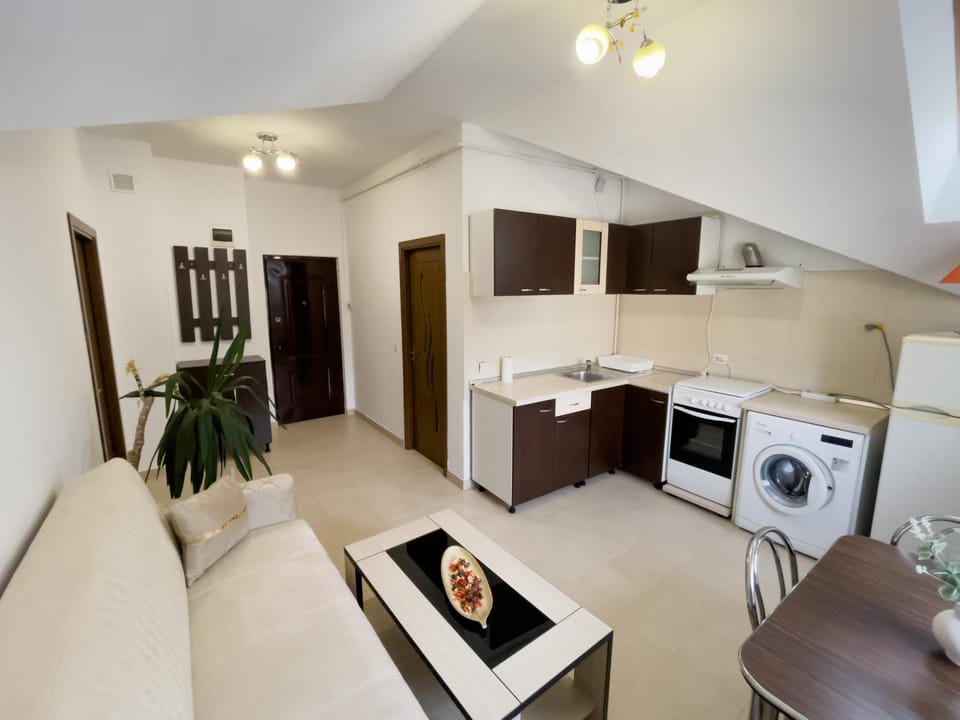 Kitchen or kitchenette, Living room, Seating area, Dining area, stove, washing machine
