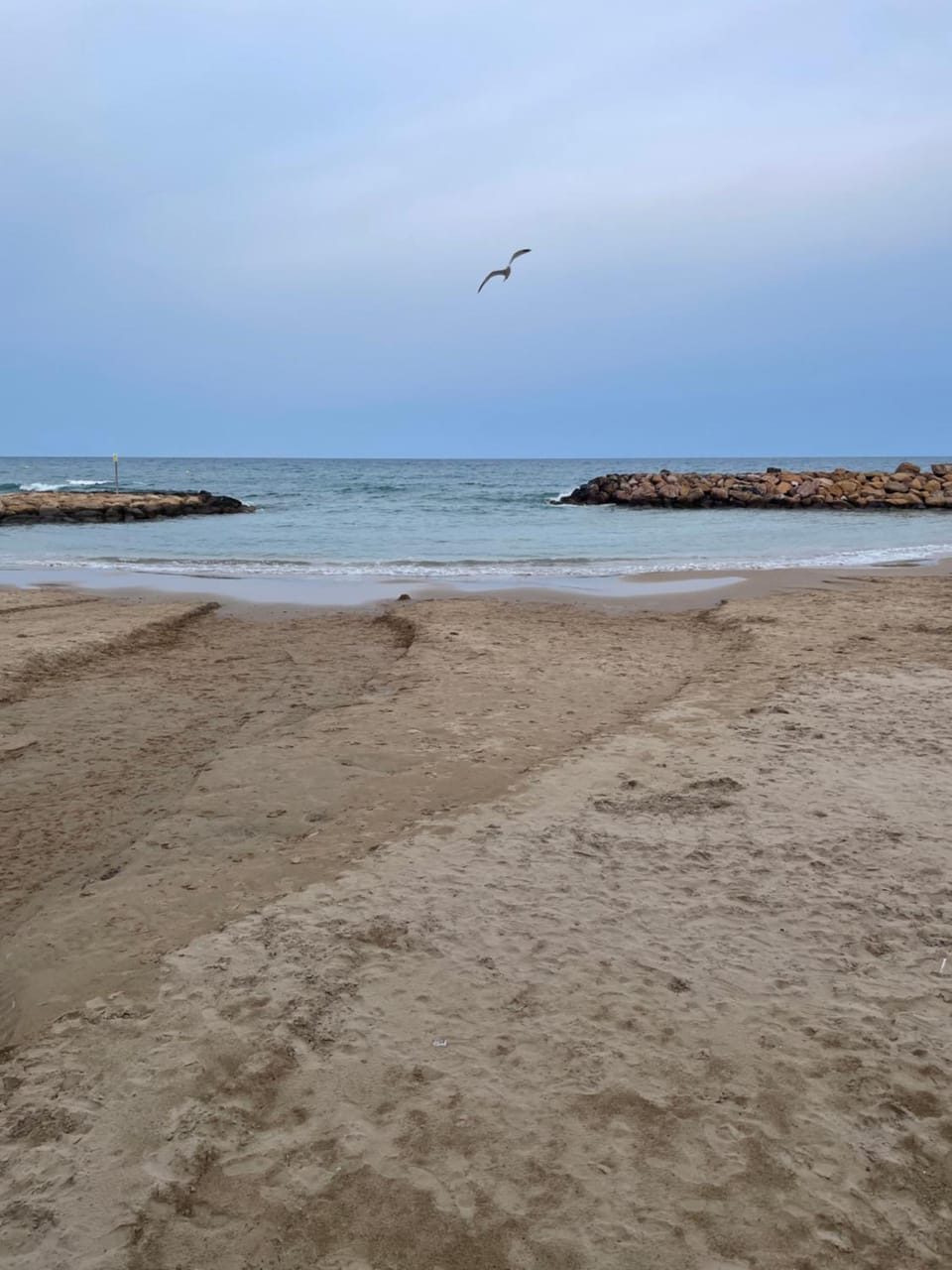 Au cœur de torreveija Apartment in Torrevieja