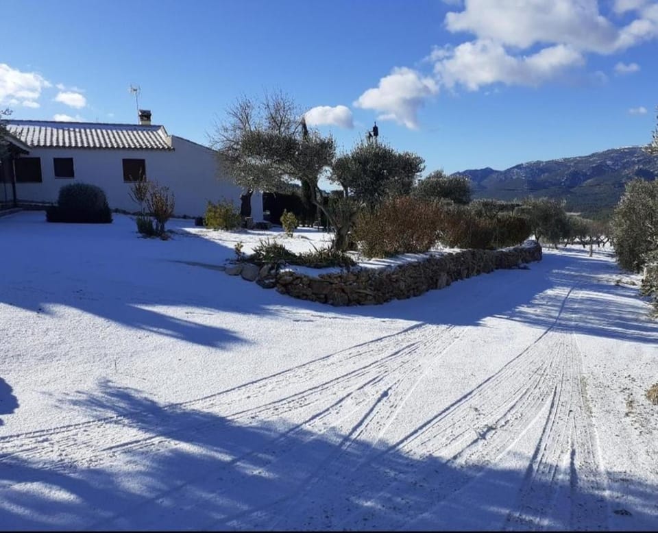 Winter
