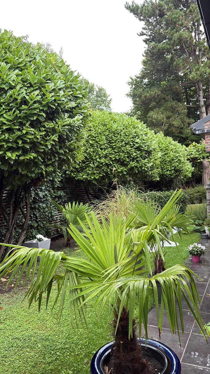 Efes home Vacation rental in Ghent