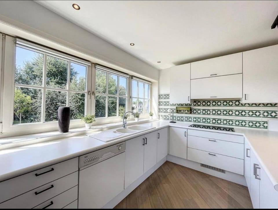 Kitchen or kitchenette, dishwasher, stove