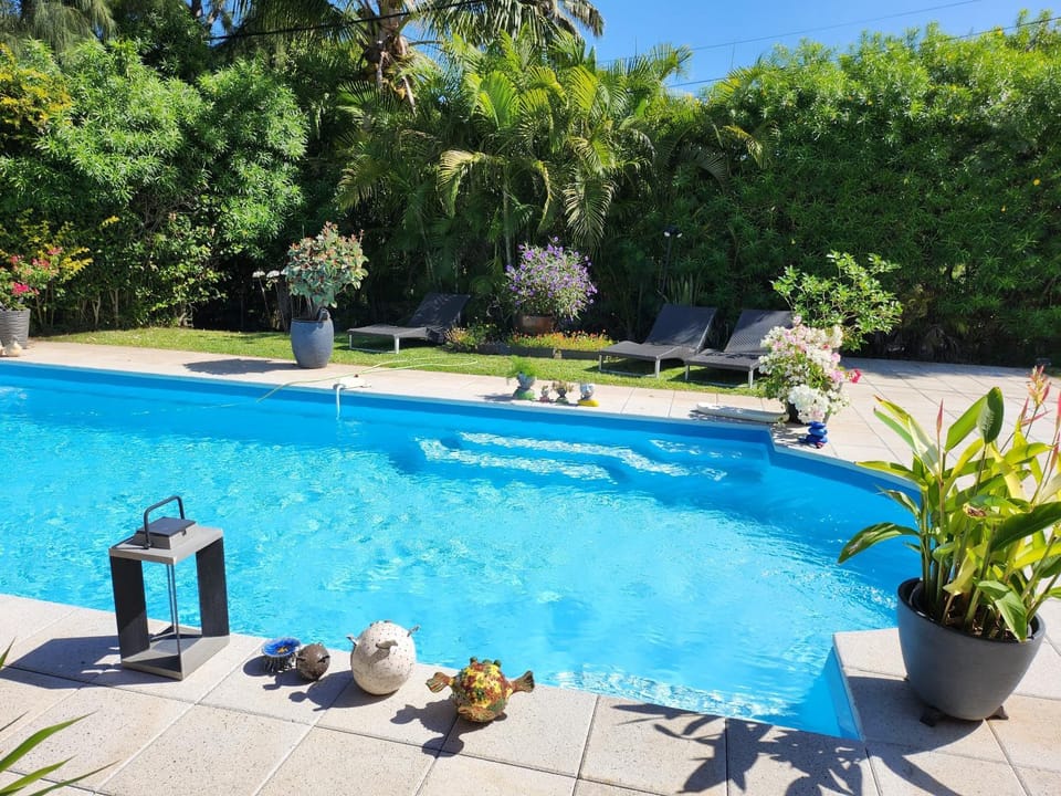 Garden, Garden view, Swimming pool, sunbed