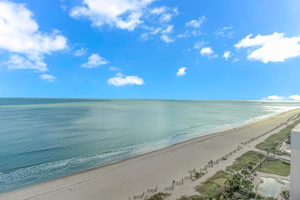 Direct Oceanfront 1 bedroom Condo - Surf's Up Oceanfront Oasis 1416 House in Myrtle Beach