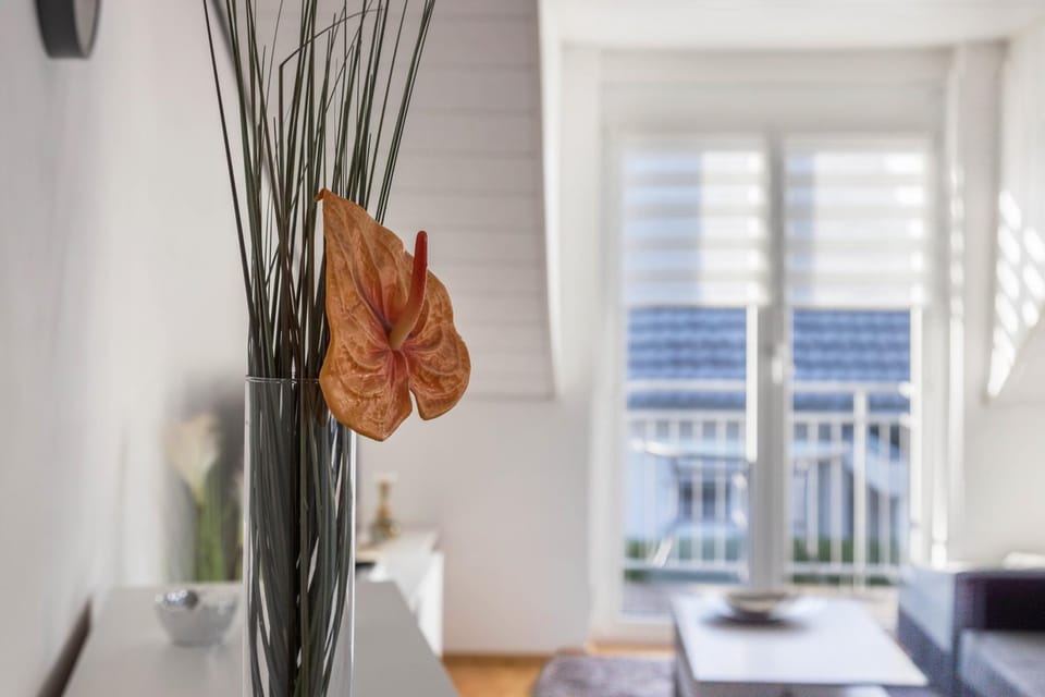 am Salinensee Apartment in Villingen-Schwenningen