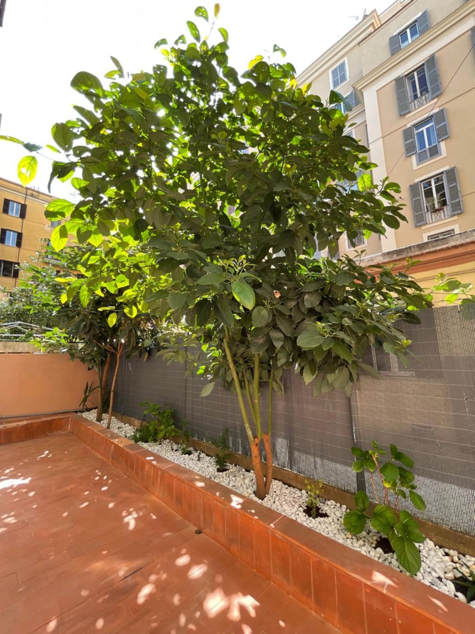 Day, Garden, Garden view