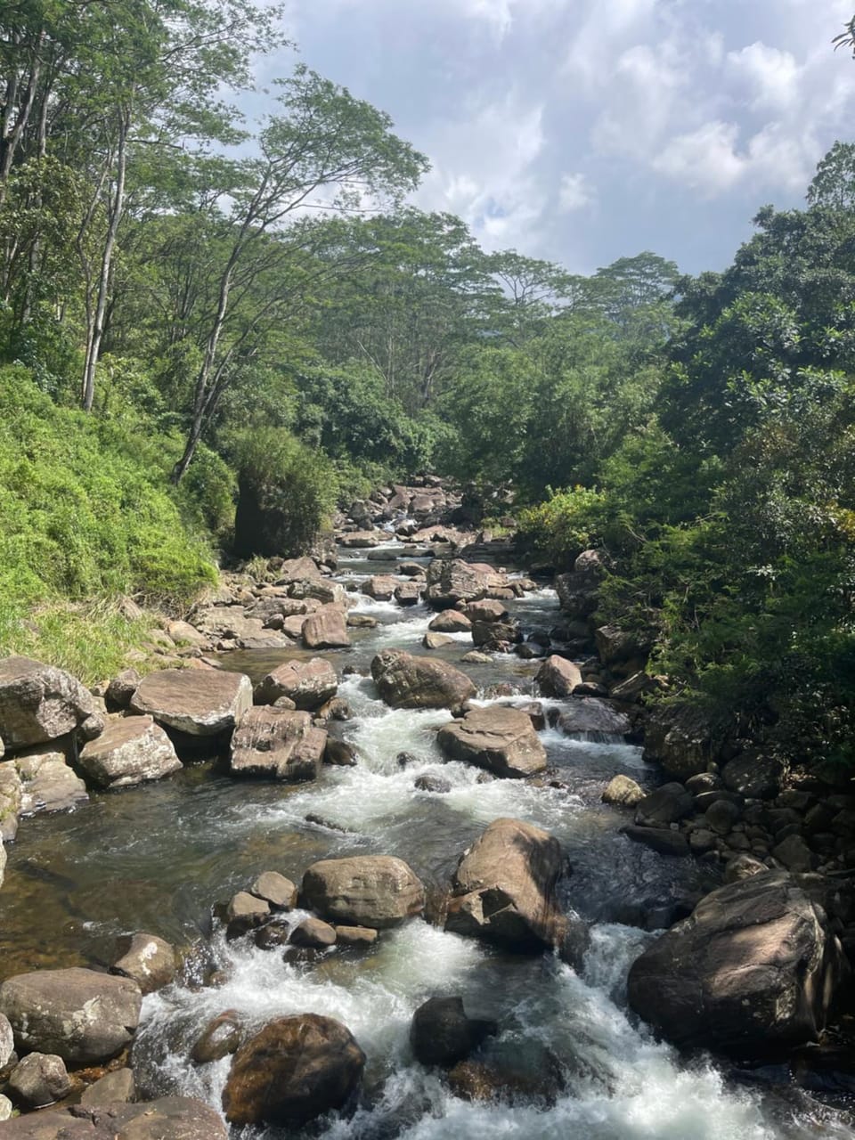 Natural landscape