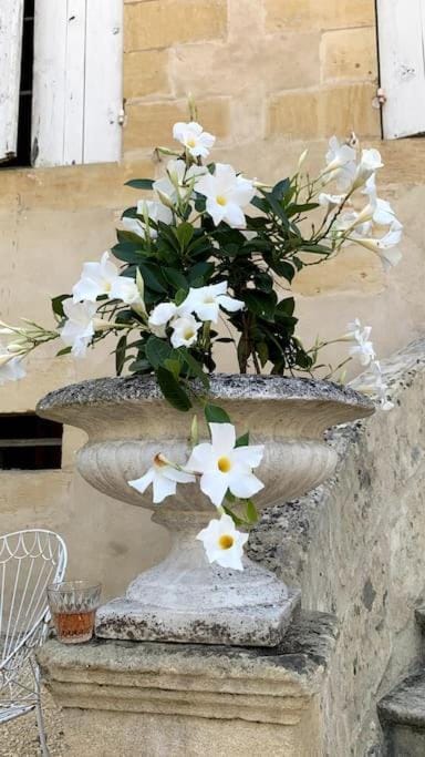 Day, Garden