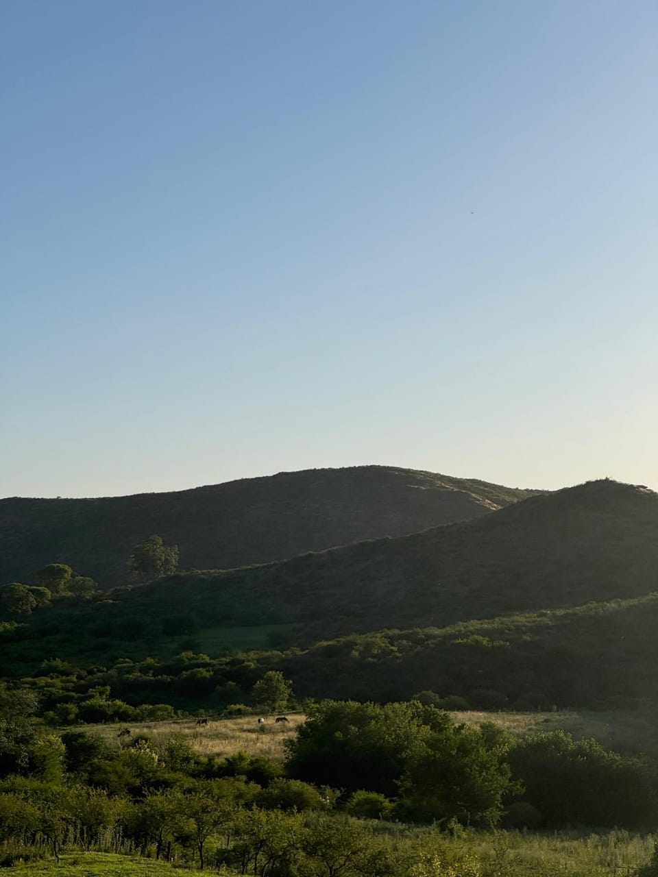 el buen aire Chalet in Cordoba Province