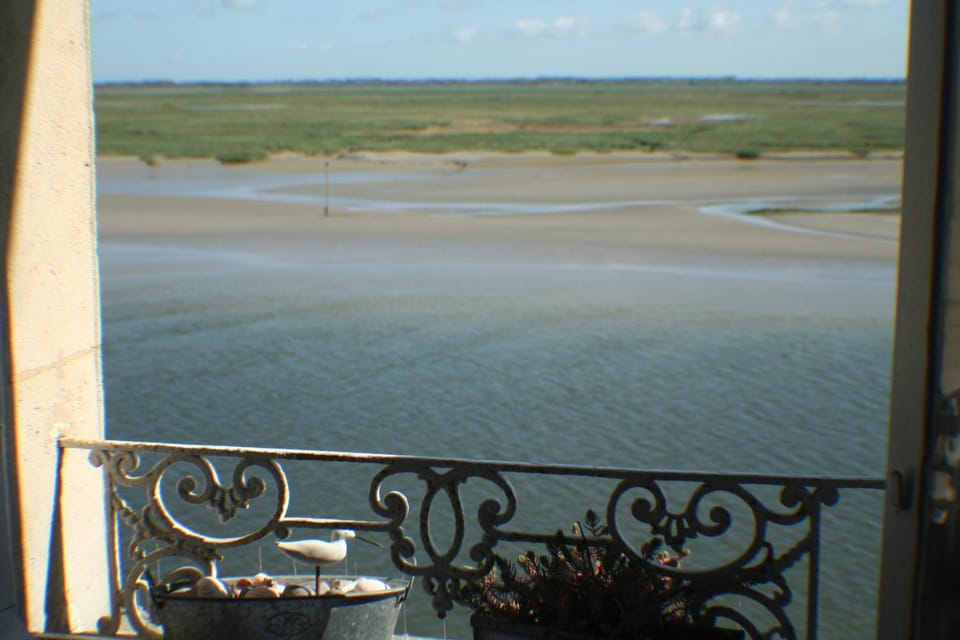 Natural landscape, River view