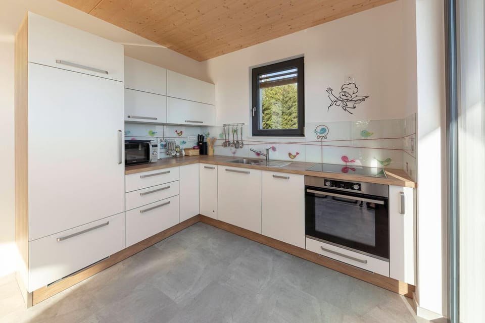 Kitchen or kitchenette, oven, stove, kitchen, kitchen