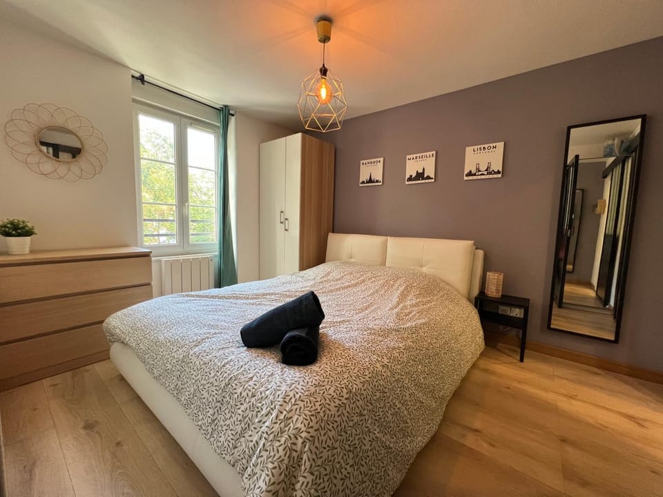 Confort appartement proche Gare et Centre Strasbourg Apartment in Strasbourg