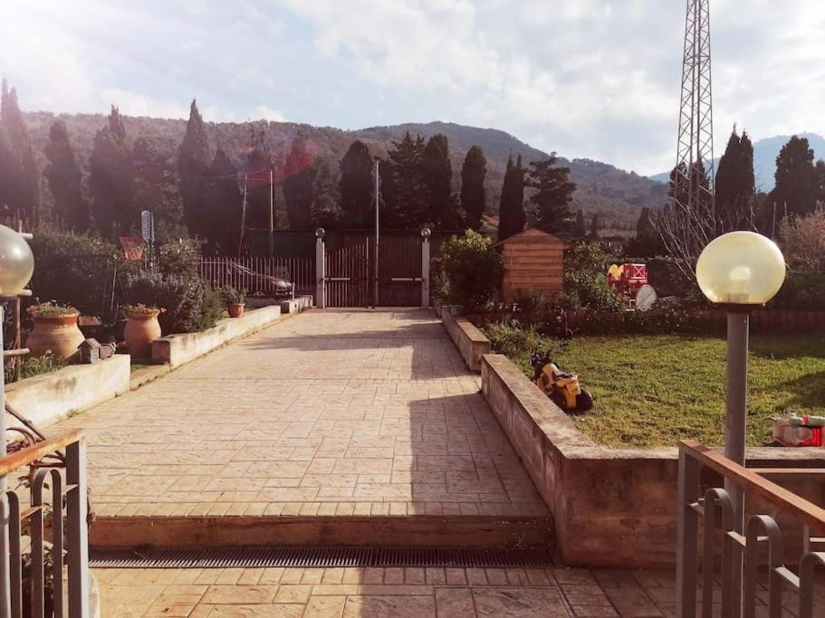 Property building, Day, Garden, Garden view