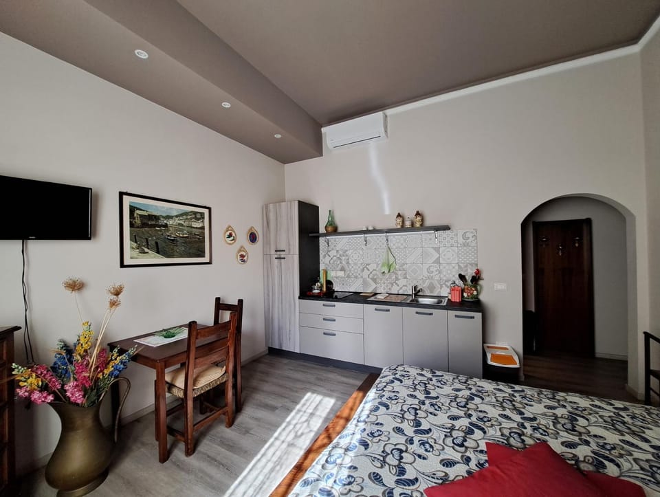 Bed, TV and multimedia, Kitchen or kitchenette, Photo of the whole room, Dining area