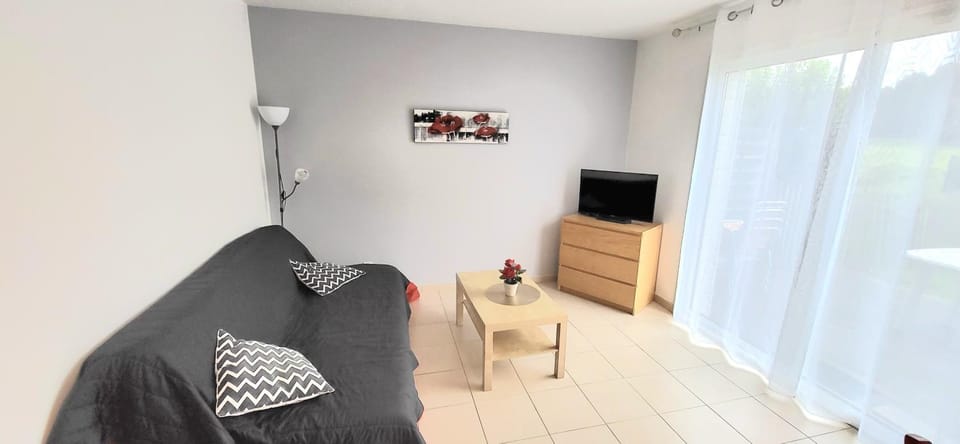 Logement thermale et de tourisme Les Acacias 4 Apartment in Jonzac