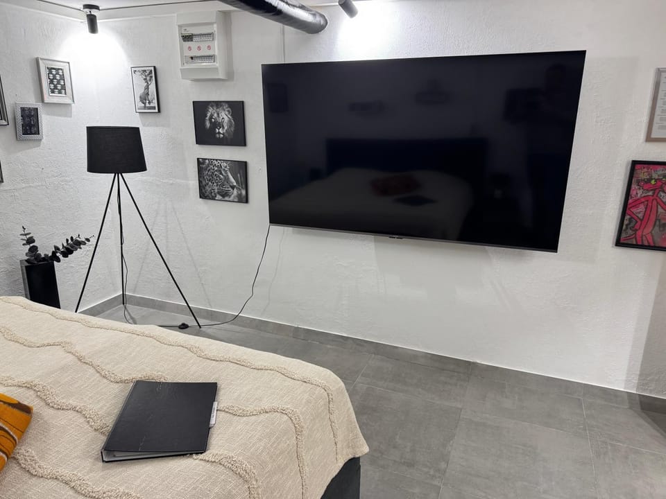 TV and multimedia